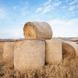 New Holland пуска на пазара балиращи машини Roll-Belt™ с променлива камера, с подобрени технологични характеристики и издръжливост