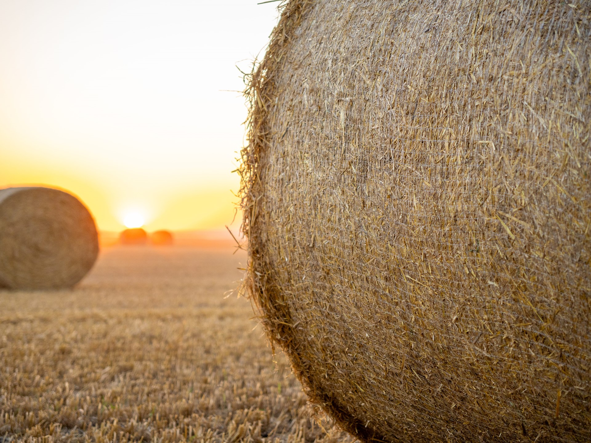 New Holland пуска на пазара балиращи машини Roll-Belt™ с променлива камера, с подобрени технологични характеристики и издръжливост, както и нова компостируема о