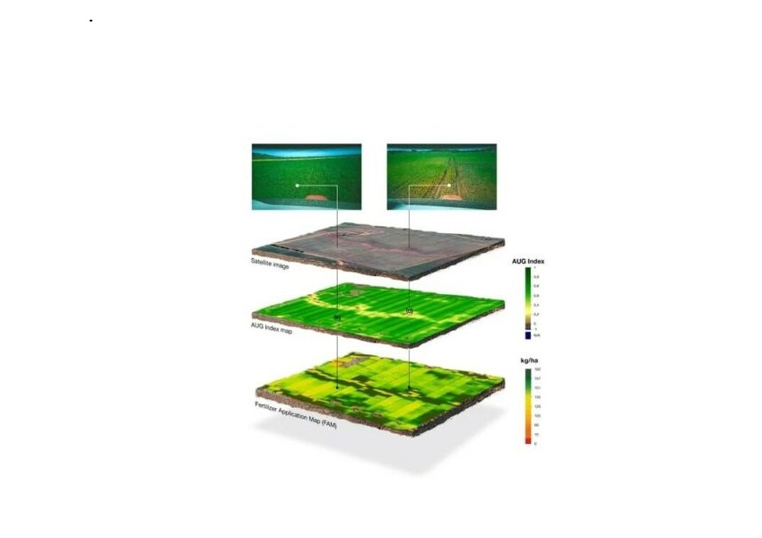 Услуги LiveVRA