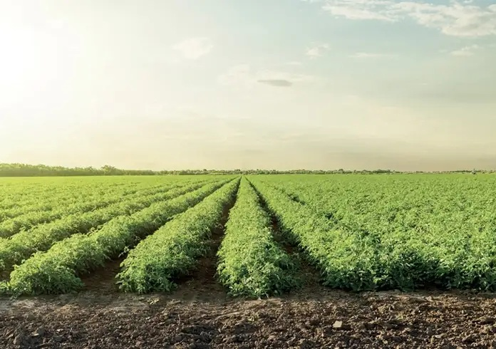 АДАПТИВНИ РЕШЕНИЯ, ПРОЕКТИРАНИ, ЗА ДА ОТГОВАРЯТ НА ВАШИТЕ СЕЛСКОСТОПАНСКИ НУЖДИ.